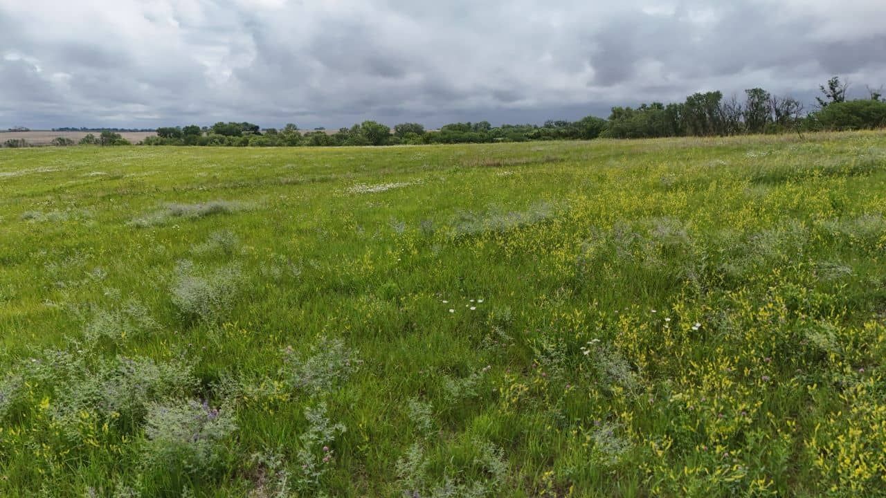 Listing Photo: johnson-county-ne-158-acres